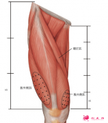 打瘦腿針后多久可以備孕呢？