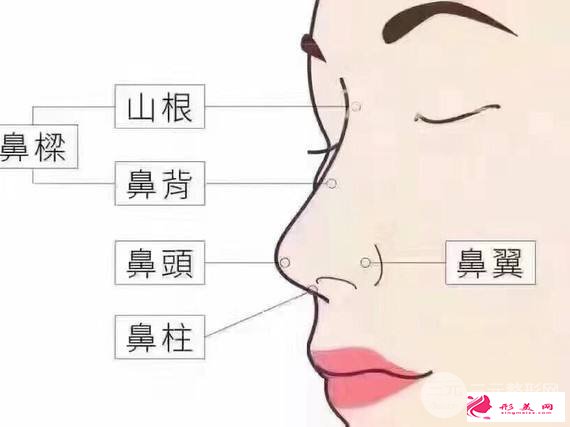 鼻部綜合整形價格多少錢 主要受3點因素影響~