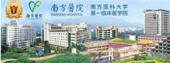 南方醫(yī)科大學南方醫(yī)院祛斑多少錢？