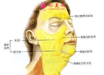 何時(shí)能見到抽脂最好的效果?