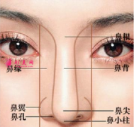 自體軟骨隆鼻多久穩(wěn)定？