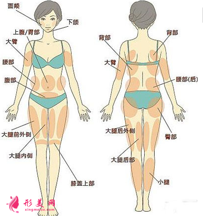 吸脂減肥多久看到效果