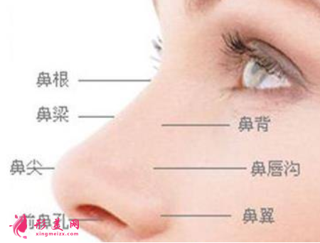 自體軟骨隆鼻前需要了解的問題