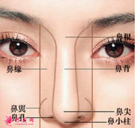 假體隆鼻有什么優(yōu)勢