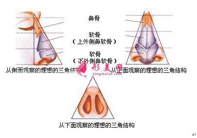 鼻尖整形的價(jià)格是多少，效果怎么樣！