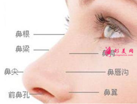 假體隆鼻大概要花多少錢(qián)