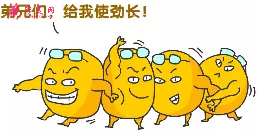 臀部吸脂后會松弛嗎