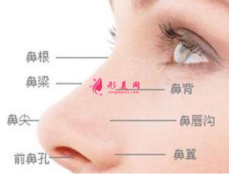 軟骨隆鼻后多久才能觸碰鼻子