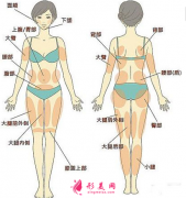 吸脂減肥的價格要多少錢？