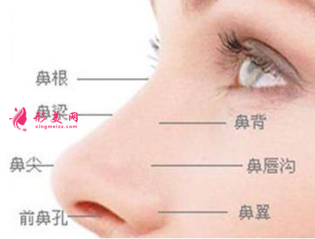假體隆鼻整形費用要多少錢