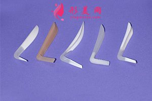 鼻子假體部分示例圖 鼻子假體部分示例圖
