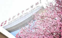 長沙市中心醫(yī)院整形外科怎么樣？2021價(jià)格表（費(fèi)用）明細(xì)參考